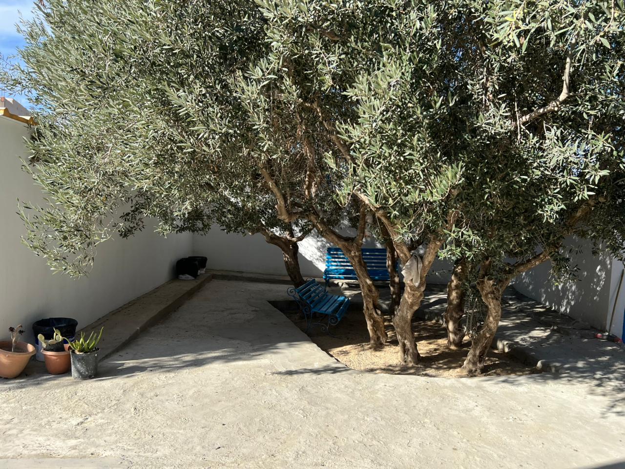 Lycée Ennajeh - Activités parascolaires